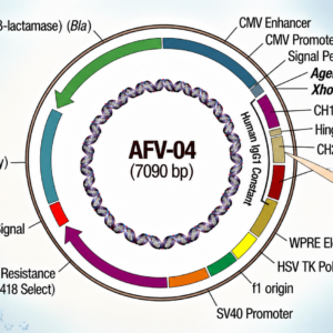 Human IgG1 (EN: E233P/L234V/L235A/ฮG236+A327G/A330S/P331S)