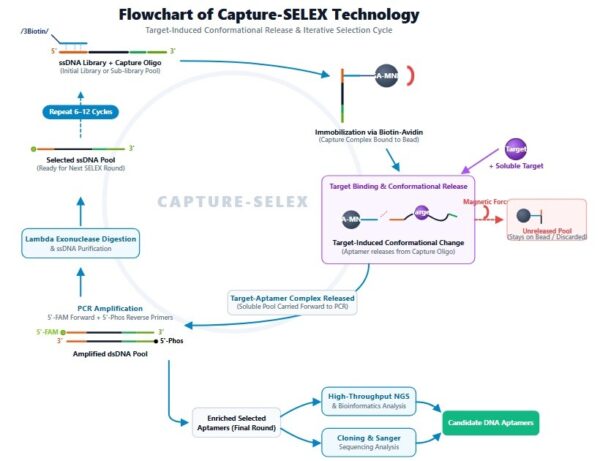 DNA Aptamer Development Kit (Capture-SELEX module)