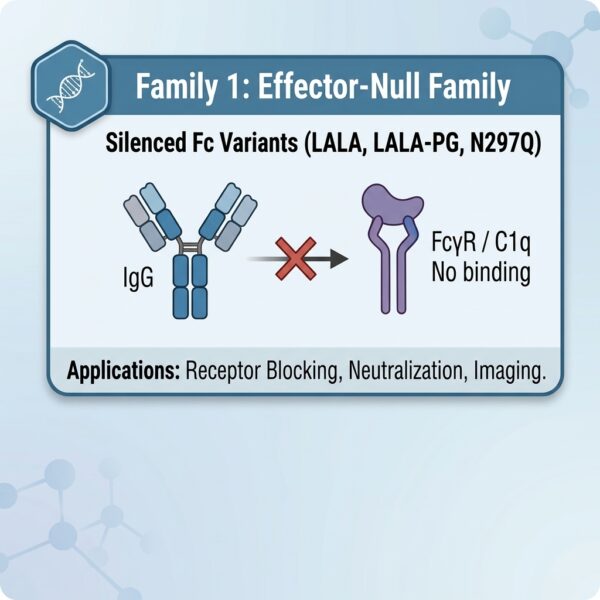 Fc engineering vectors: Effector Null Family
