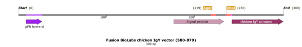 pFB-CHIg-cY: Chicken IgY Mammalian Expression Vector - Image 2