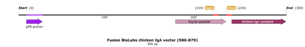 Fusion BioLabs chicken Igλ vector final (580-879) Map