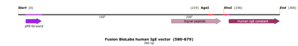 pFB-CHIg-hE: Human IgE Mammalian Expression Vector - Image 2