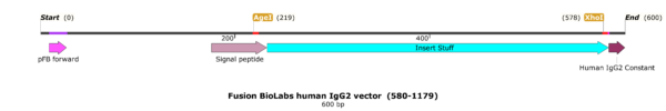 pFB-CHIg-hG2: Human IgG2 Mammalian Expression Vector - Image 2