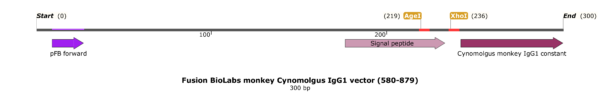 pFB-CHIg-cmG1: Cynomolgus monkey IgG1 Mammalian Expression Vector - Image 2