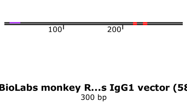 pFB-CHIg-rmG1: Rhesus monkey IgG1 Mammalian Expression Vector - Image 2