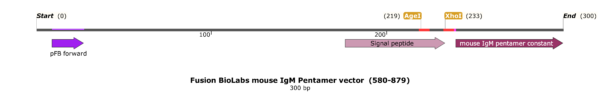 pFB-CHIg-mM (pentamer): Mouse IgM Mammalian Expression Vector - Image 2