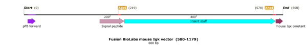 pFB-CLIg-mk: Mouse Igk Mammalian Expression Vector - Image 2